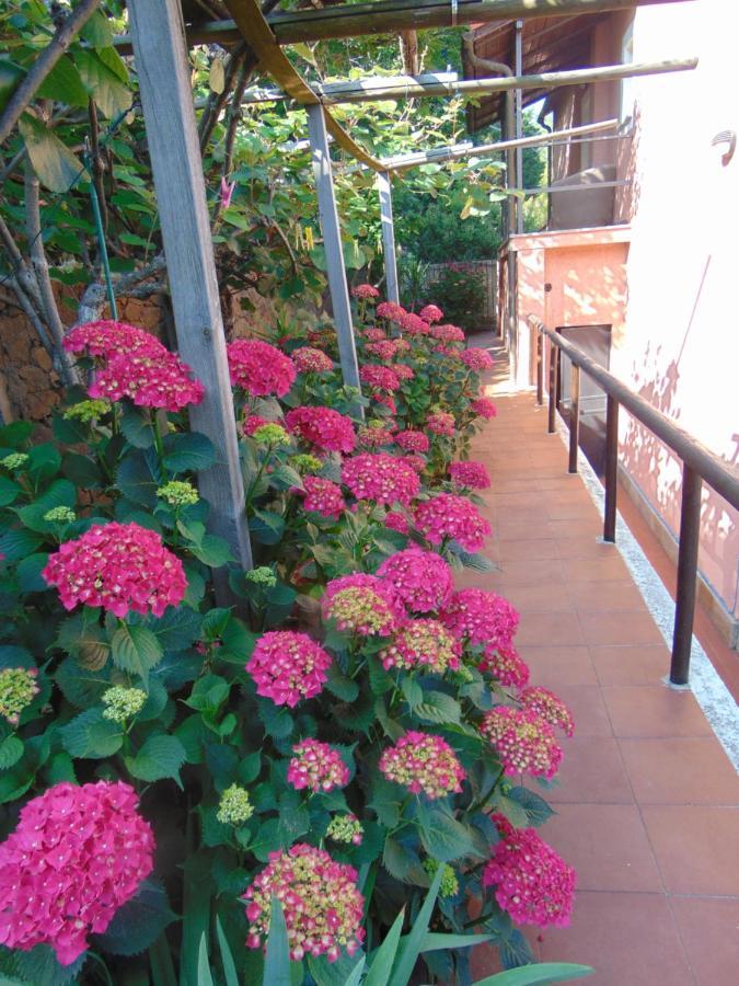 Casa Roberto B&Bサヴォーナ エクステリア 写真